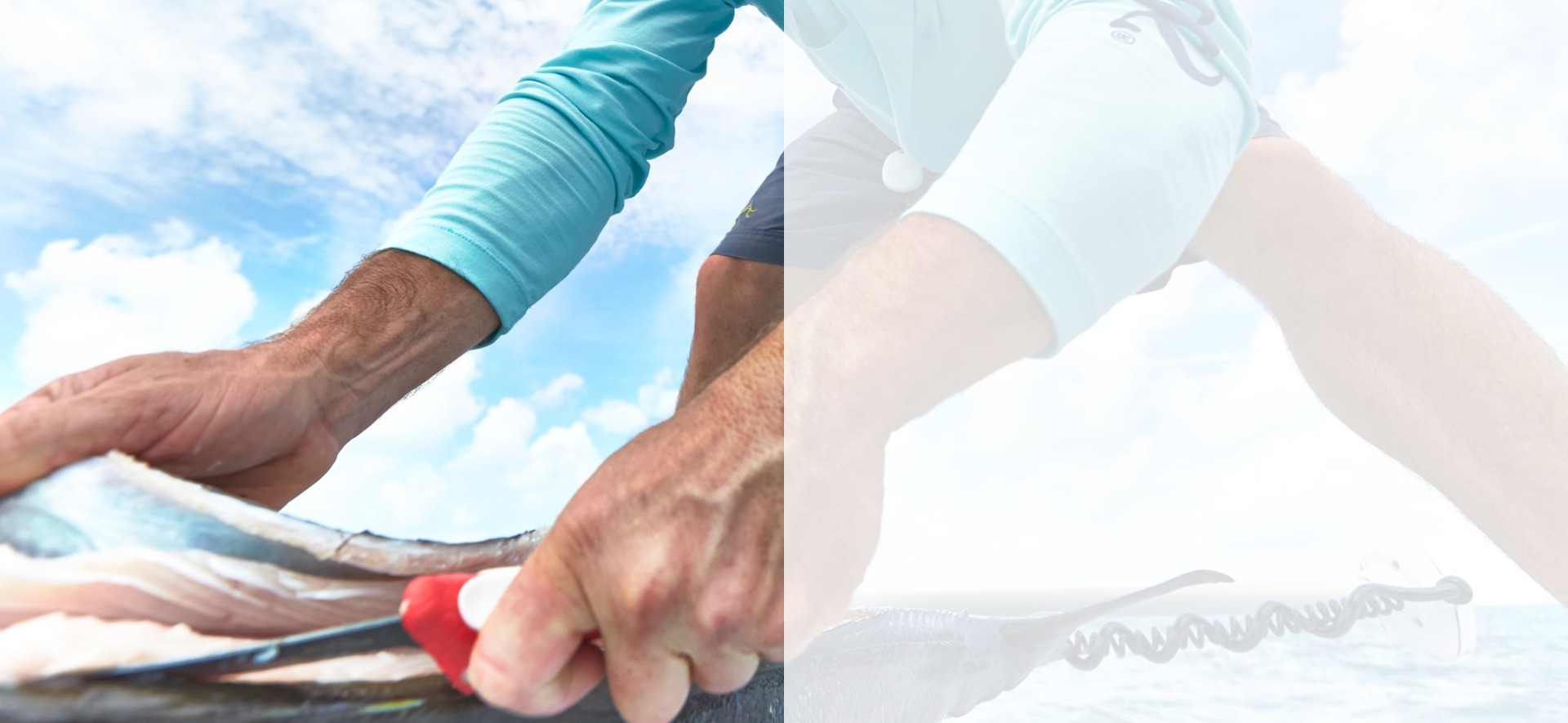 Knives & Gloves Knives & Gloves