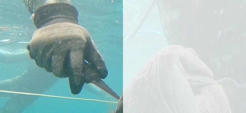 Gloves & Knives Gloves & Knives