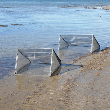 Fishfighter Whitebait Net Collapsable Galvanised Frame